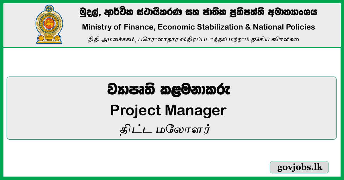 Project Manager – Ministry of Finance, Economic Stabilization & National Job Vacancies 2024