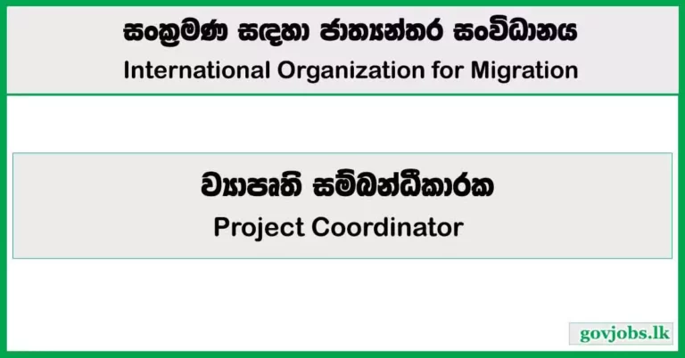 Project Coordinator - International Organization for Migration Job Vacancies 2024