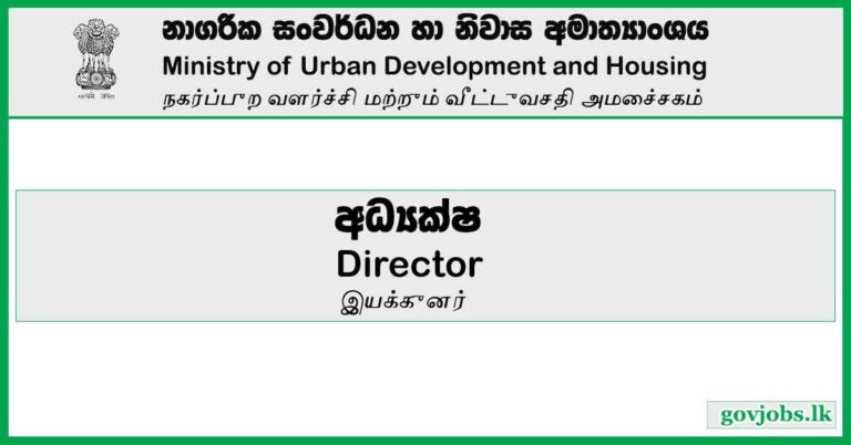 Director - Ministry Of Urban Development And Housing
