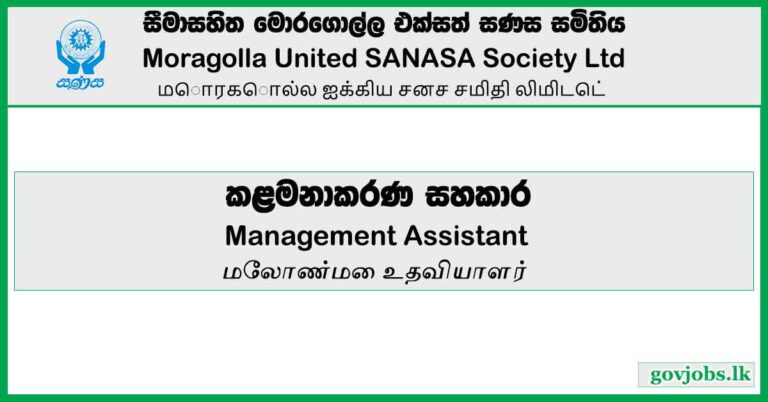 Management Assistant - Moragolla United SANASA Society Ltd