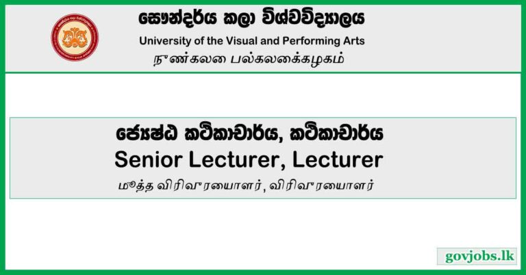 Senior Lecturer, Lecturer - University of the Visual and Performing Arts