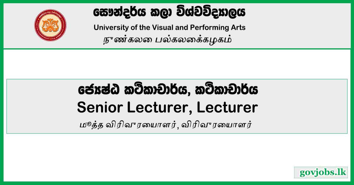 Senior Lecturer, Lecturer - University of the Visual and Performing Arts