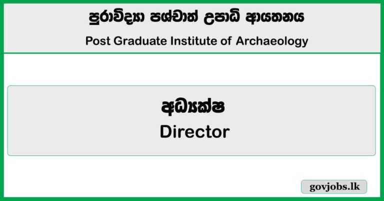 Director - Post Graduate Institute of Archaeology Job Vacancies 2024