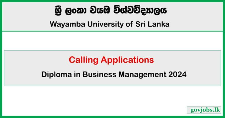 Diploma in Business Management 2024
