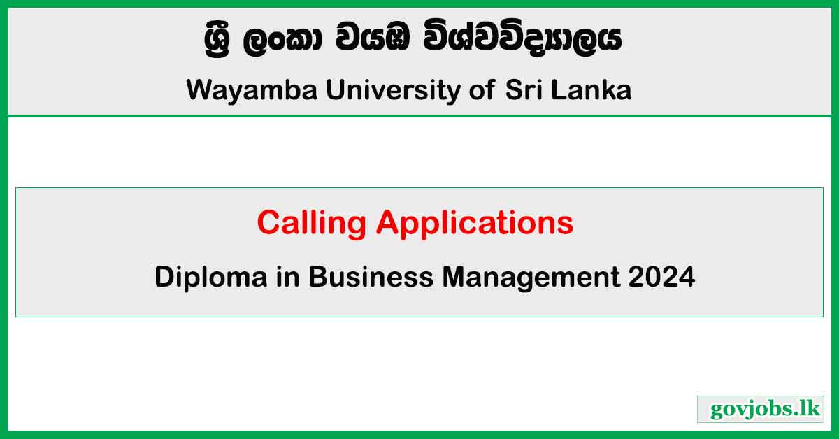Diploma in Business Management 2024
