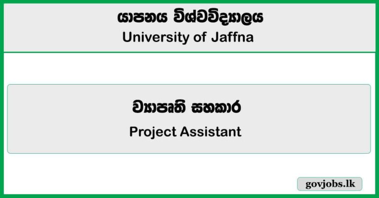 Project Assistant - University of Jaffna Job Vacancies 2024