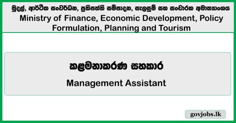 Management Assistant – Ministry of Finance, Economic Development, Policy Formulation, Planning and Tourism Job Vacancies 2024
