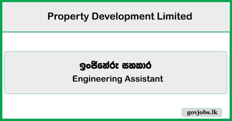 Engineering Assistant – Property Development Limited Job Vacancies 2025