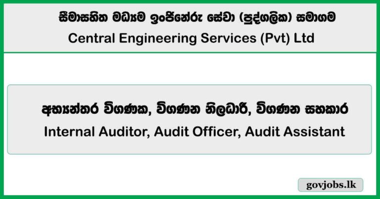 Internal Auditor, Audit Officer, Audit Assistant – Central Engineering Services (Pvt) Ltd Job Vacancies 2025
