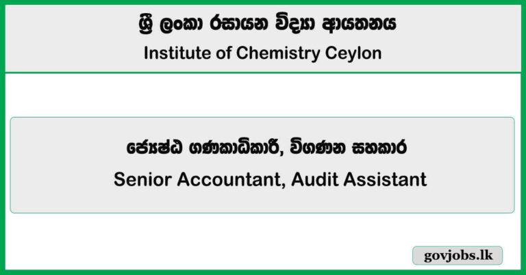 Senior Accountant, Audit Assistant – Institute of Chemistry Ceylon Job Vacancies 2025