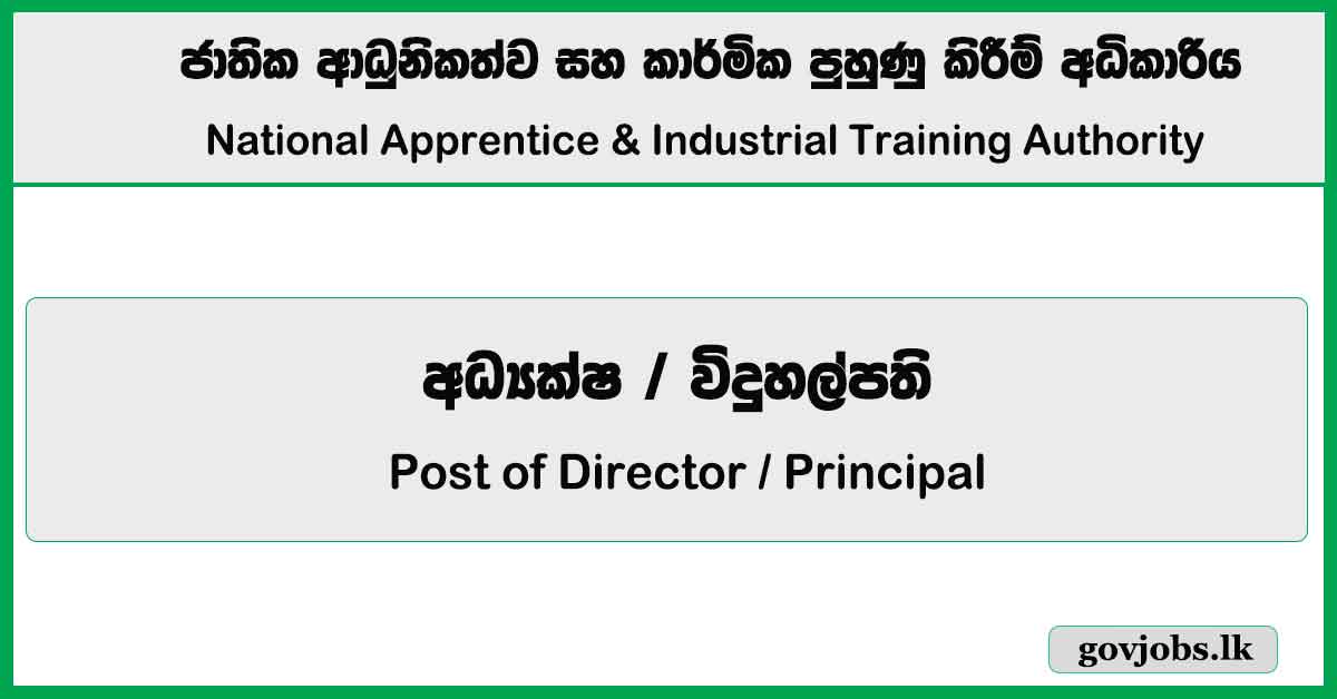 Post of Director, Principal - NAITA Job Vacancies 2024