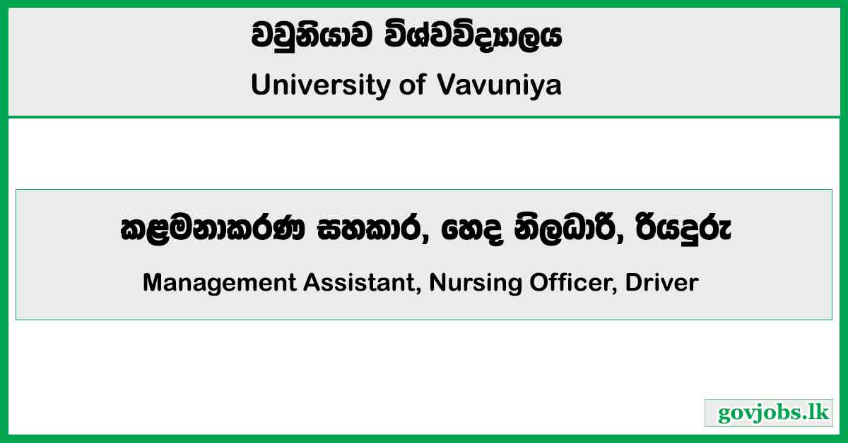 Management Assistant, Nursing Officer, Driver - University of Vavuniya Job Vacancies 2024