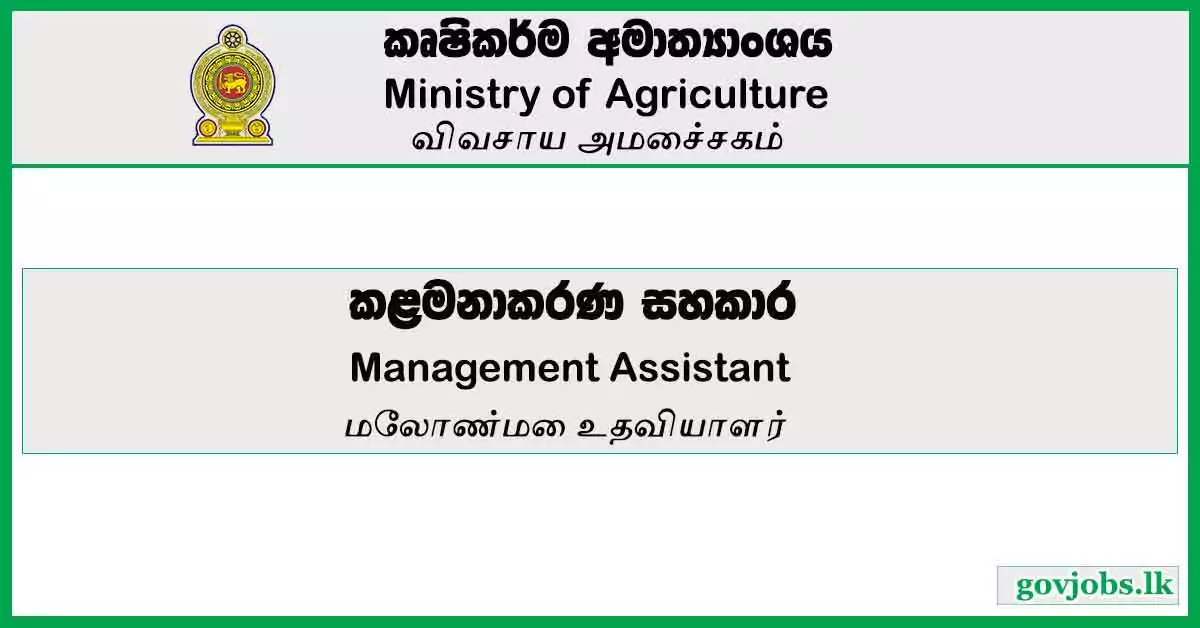 Management Assistant - Ministry Of Agriculture Job Vacancies 2023