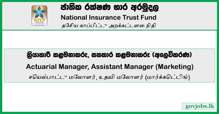 National Insurance Trust Fund (NITF) - Actuarial Manager, Assistant Manager (Marketing) Vacancies 2023