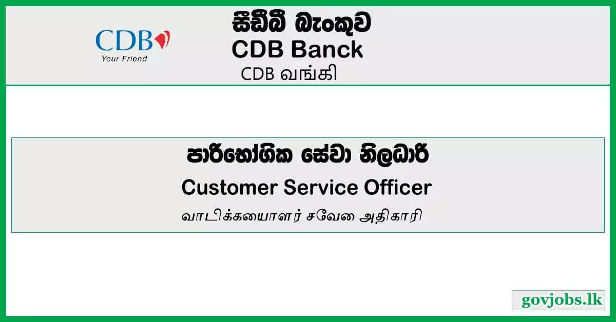 Customer Service Officer - Citizens Development Business Finance PLC Job Vacancies 2024