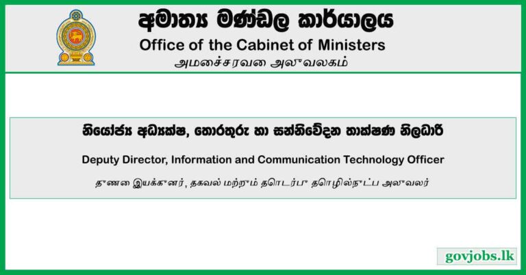 Deputy Director, Information and Communication Technology Officer – Office of the Cabinet of Ministers