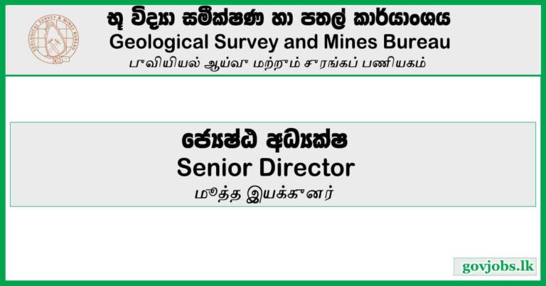 Geological Survey And Mines Bureau-Senior Director Vacancies 2023