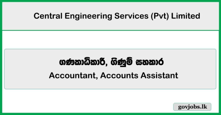 Accountant, Accounts Assistant - Central Engineering Services (Pvt) Limited Job Vacancies 2025