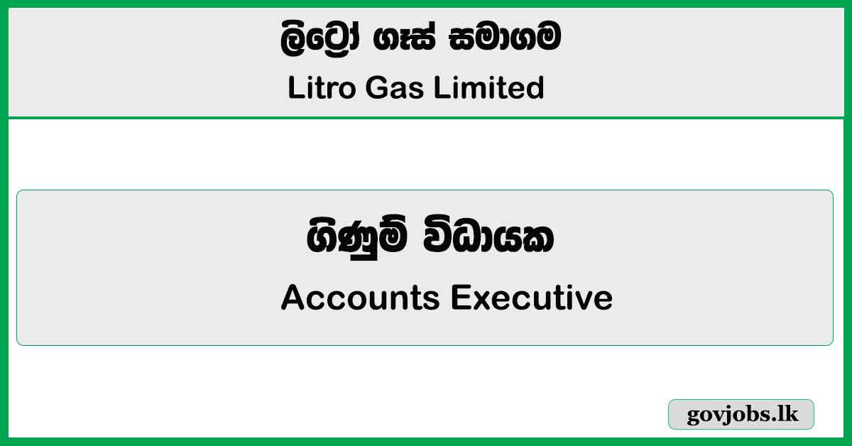 Accounts Executive – Litro Gas Limited 2026 Job Vacancies