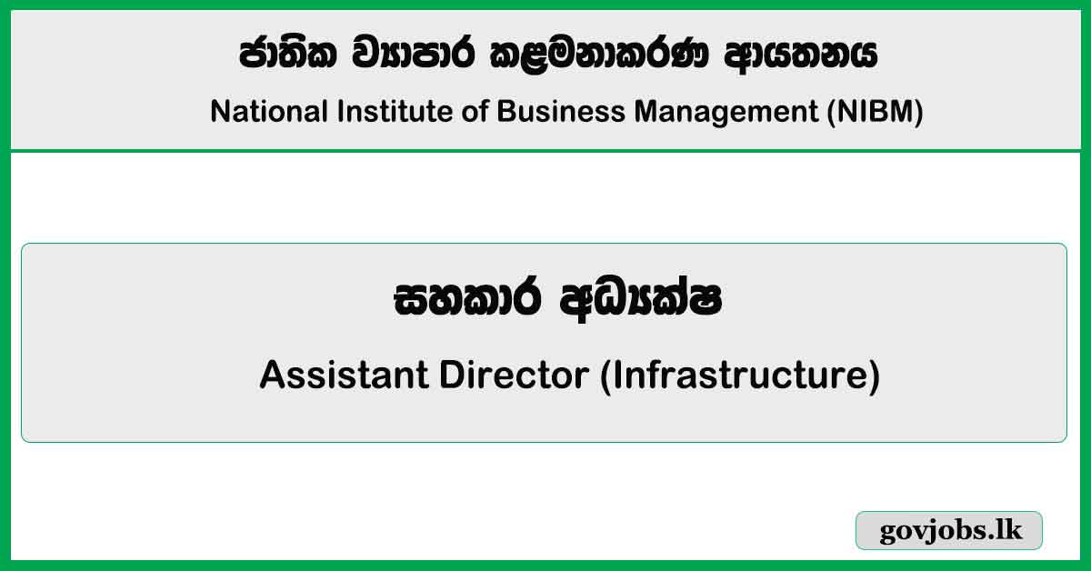 Assistant Director (Infrastructure) – NIBM Job Vacancies 2025