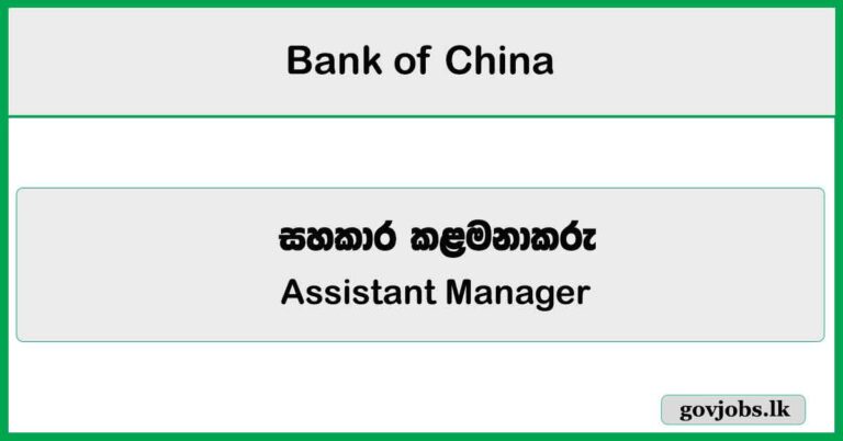 Assistant Manager (Credit Risk Management) - Bank of China Job Vacancies 2025