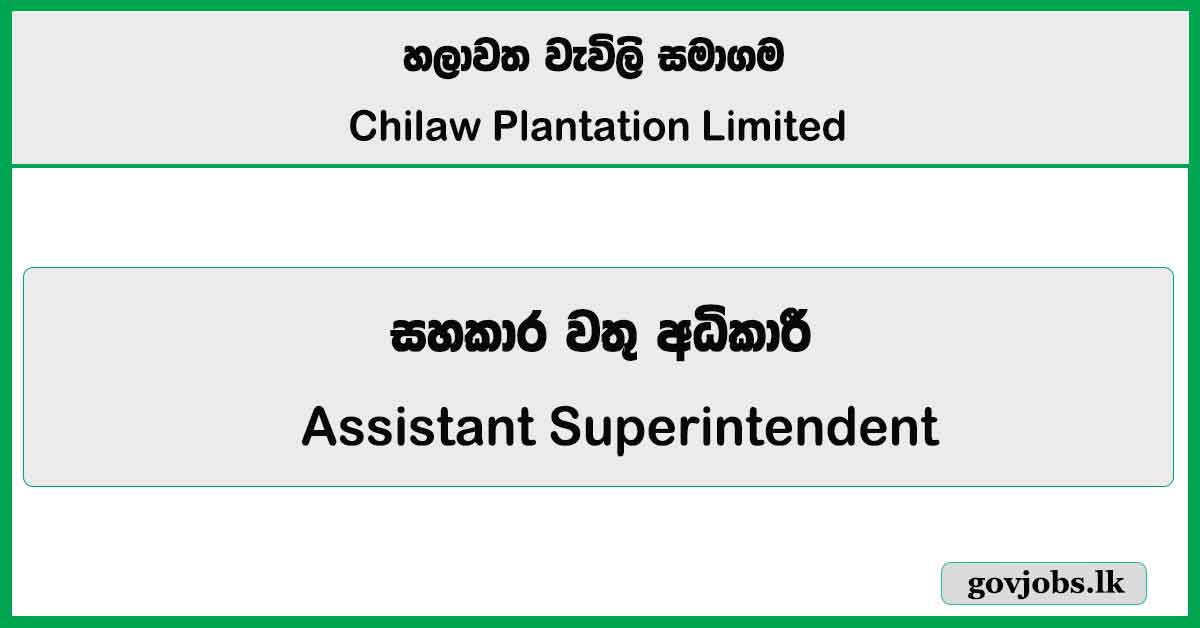 Assistant Superintendent - Chilaw Plantations Limited Job Vacancies 2026