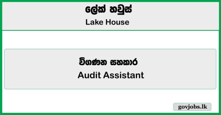 Audit Assistant - Lake House Job Vacancies 2025