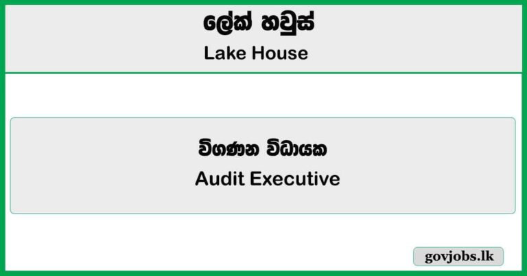 Audit Executive - Lake House Job Vacancies 2025