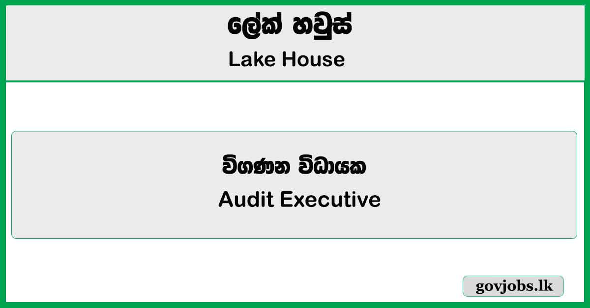 Audit Executive - Lake House Job Vacancies 2025
