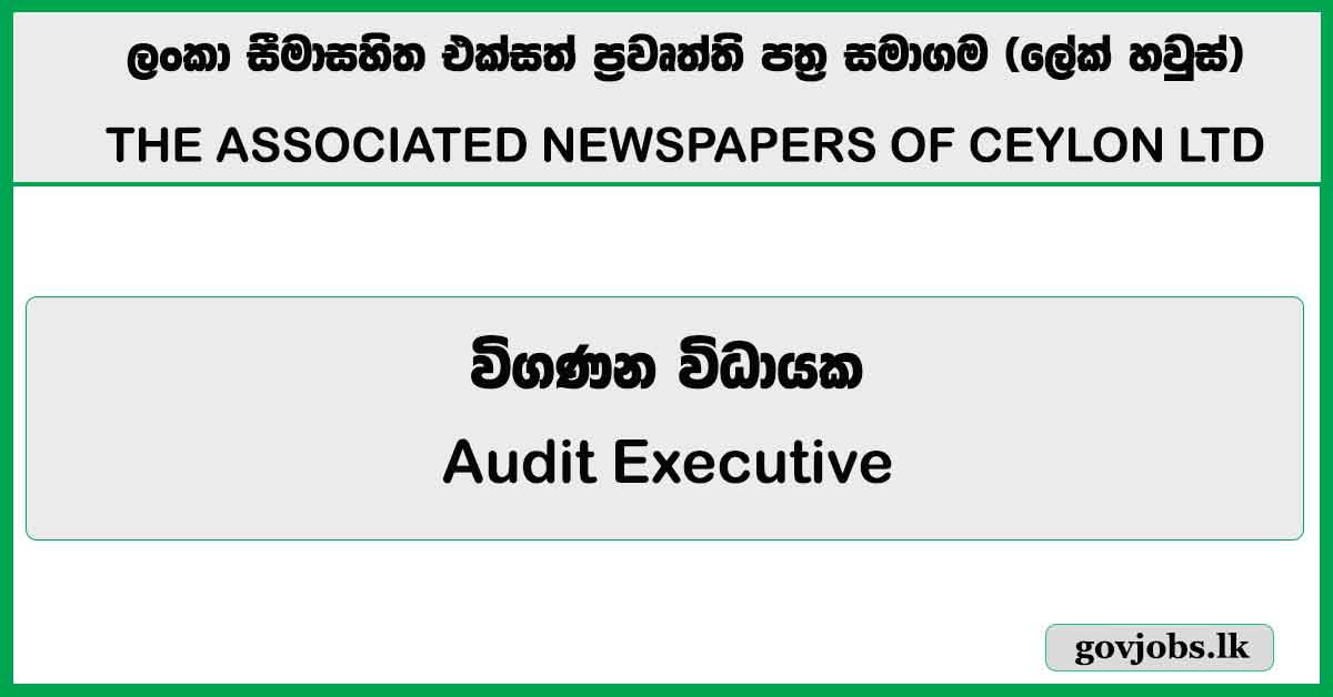 Audit Executive – Lake House Job Vacancies 2025