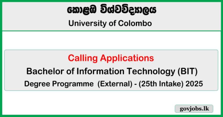 Bachelor of Information Technology (BIT) (External) Degree Programme 2025