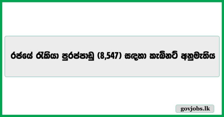 Cabinet approves filling 8,547 institution vacancies.