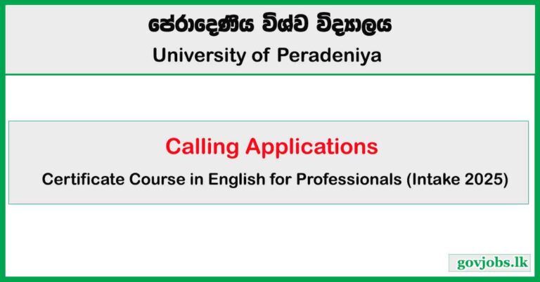 Certificate Course in English for Professionals (2025)
