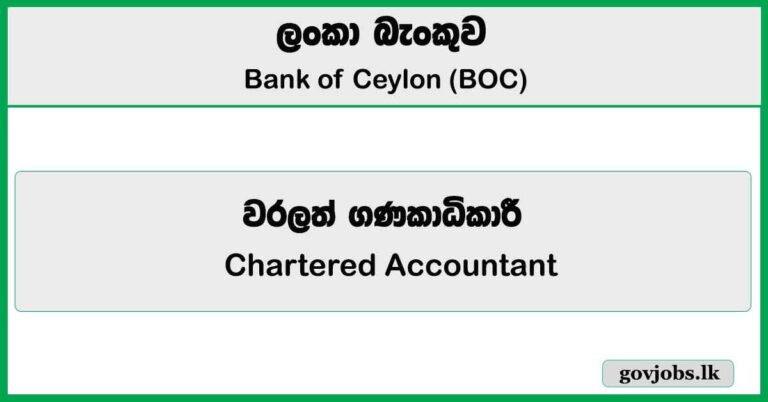 Chartered Accountant - Bank of Ceylon (BOC) Job Vacancies 2025