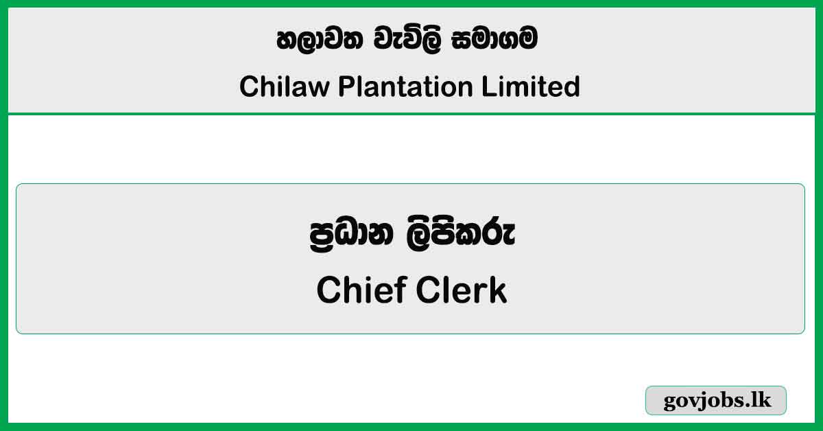 Chief Clerk - Chilaw Plantations Limited Job Vacancies 2026