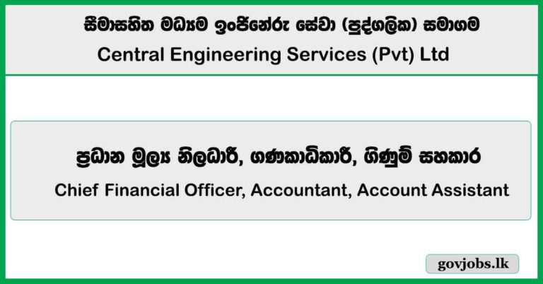 Chief Financial Officer, Accountant, Account Assistant – Central Engineering Services (Pvt) Ltd Job Vacancies 2025