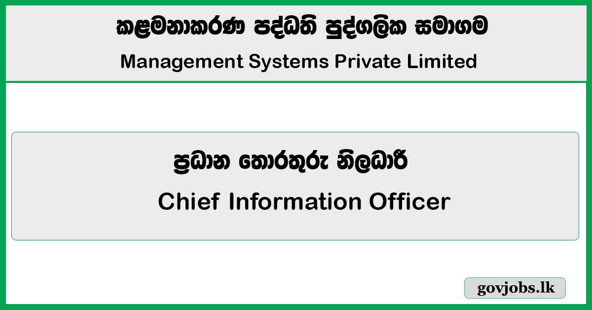 Chief Information Officer – Management Systems Private Limited Job Vacancies 2026
