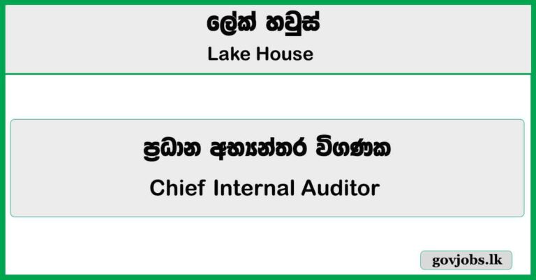 Chief Internal Auditor – Lake House Job Vacancies 2026