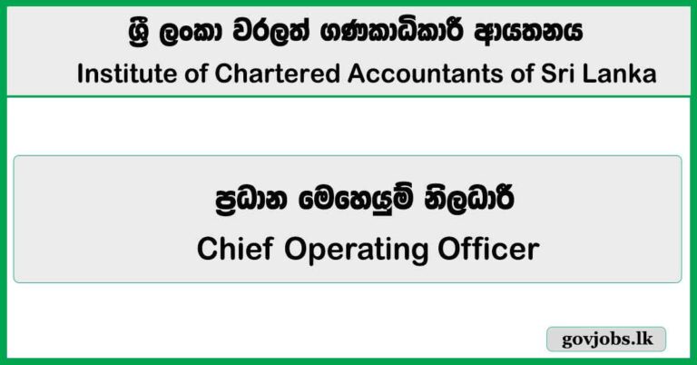Chief Operating Officer – CA Sri Lanka Vacancies 2026