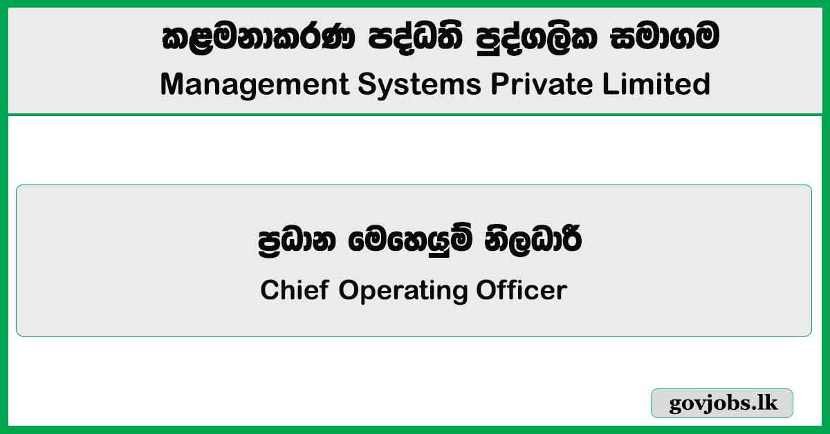 Chief Operating Officer – Management Systems Private Limited Job Vacancies 2025