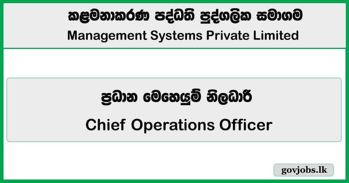 Chief Operations Officer – Management Systems Private Limited Job Vacancies 2026