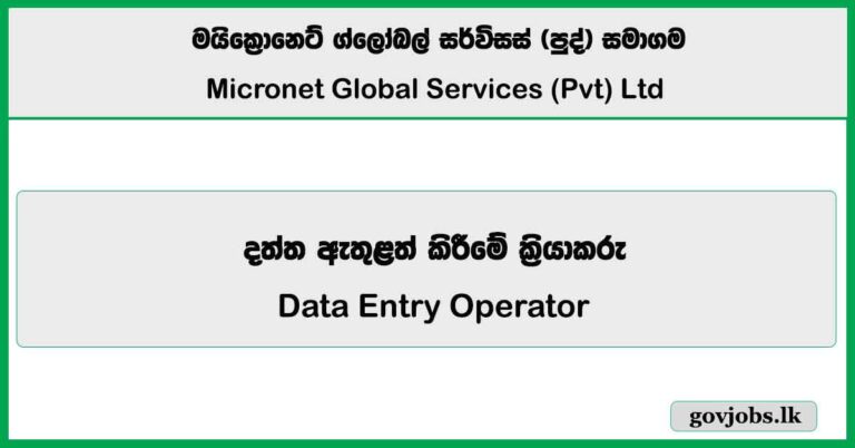 Data Entry Operator - Micronet Global Services (Pvt) Ltd Job Vacancies 2025