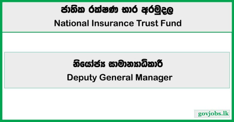 Deputy General Manager - National Insurance Trust Fund (NITF) Job Vacancies 2025