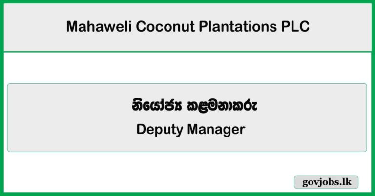 Deputy Manager – Mahaweli Coconut Plantations PLC Job Vacancies 2025