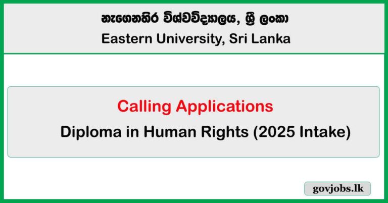 Diploma in Human Rights 2025