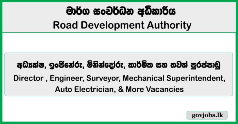 Director , Engineer, Surveyor, Mechanical Superintendent, Auto Electrician, & More Vacancies - Road Development Authority (RDA) Job Vacancies 2026