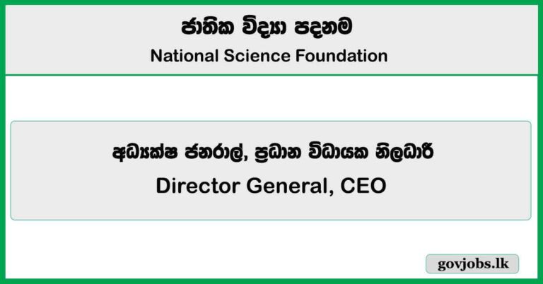 Director General, CEO – National Science Foundation Job Vacancies 2025
