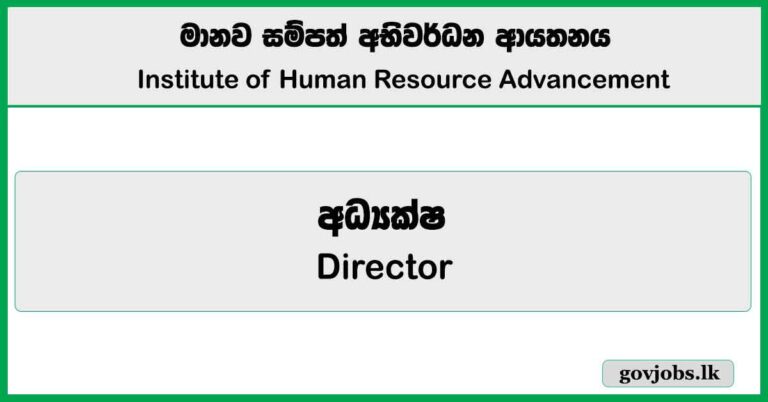 Director - Institute of Human Resource Advancement Job Vacancies 2025