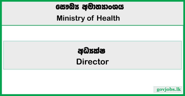Director - Ministry of Health Job Vacancies 2024