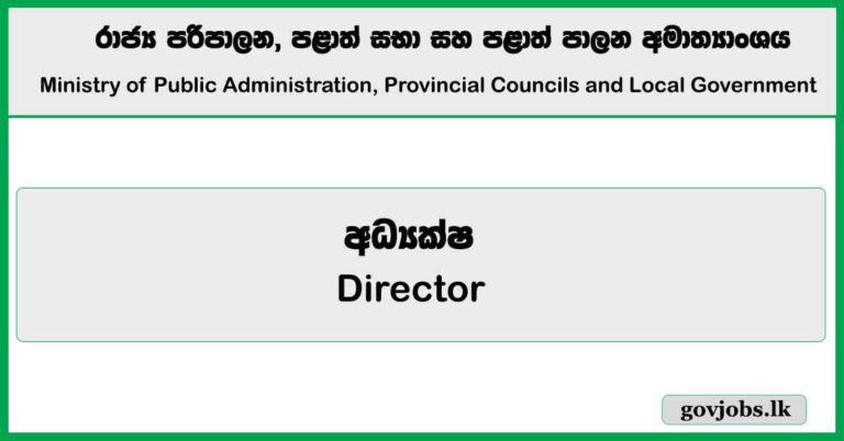 Director - Ministry of Public Administration, Provincial Councils and Local Government Job Vacancies 2025